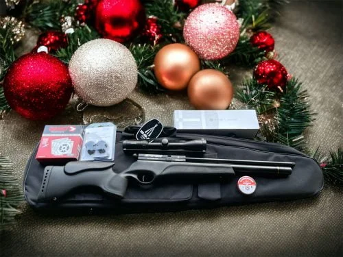 BSA Scorpion TS PCP .177 rifle