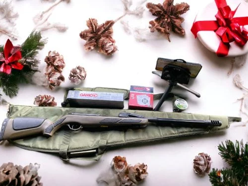 Gamo Barricade Swarm .177 multi shot spring rifle
