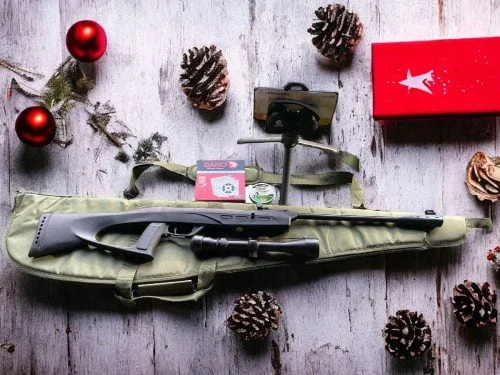 Gamo delta fox GT .177 spring rifle
